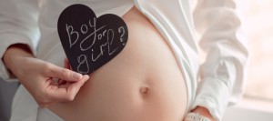Gender Reveal Services Near Me in Shrewsbury, NJ Gender Reveal Services Near Me in Shrewsbury, NJ