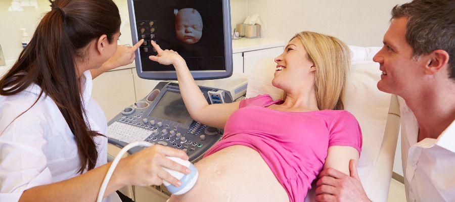 Heartbeat Huggable Ultrasound Near Me in Shrewsbury, NJ Heartbeat Huggable Ultrasound Near Me in Shrewsbury, NJ